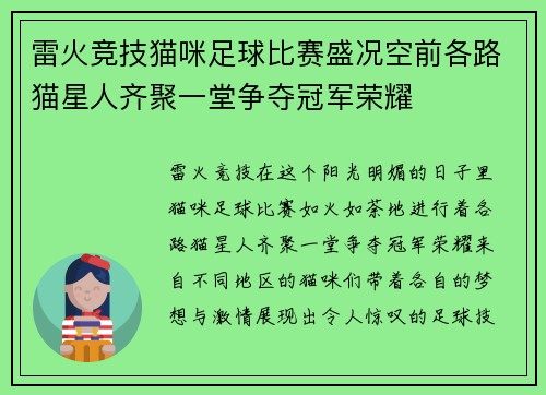 雷火竞技猫咪足球比赛盛况空前各路猫星人齐聚一堂争夺冠军荣耀