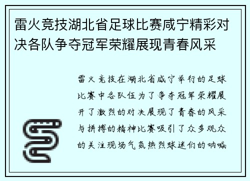 雷火竞技湖北省足球比赛咸宁精彩对决各队争夺冠军荣耀展现青春风采