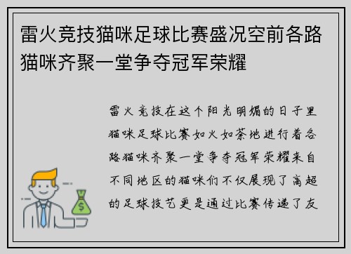 雷火竞技猫咪足球比赛盛况空前各路猫咪齐聚一堂争夺冠军荣耀