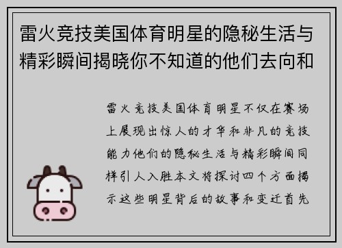 雷火竞技美国体育明星的隐秘生活与精彩瞬间揭晓你不知道的他们去向和变迁
